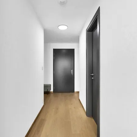 Eurovea Luxus & Comfort 公寓 *